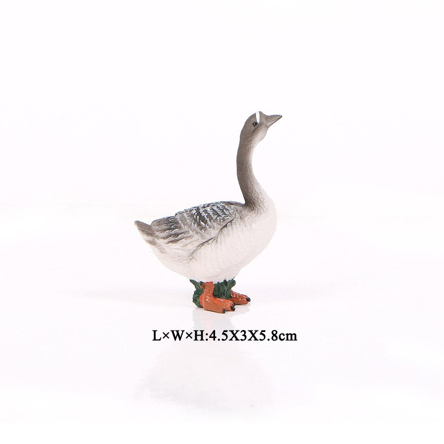 Simulation Farm Poultry Animal model Chicken Fowl Duck Goose Rooster Action figures plastic Figurines Farm series Kids Toys