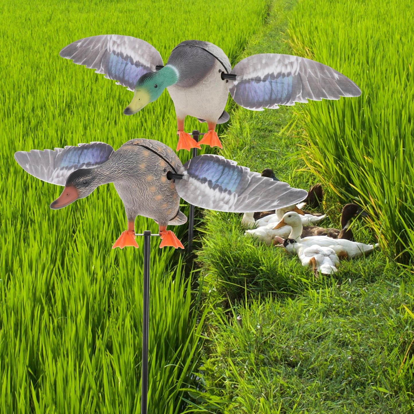 Electric Flying Duck Decoy Mallard Drake Flapping Wing Motion Motorized Duck Decoy Garden Pond Decor Lawn Ornaments for Hunting