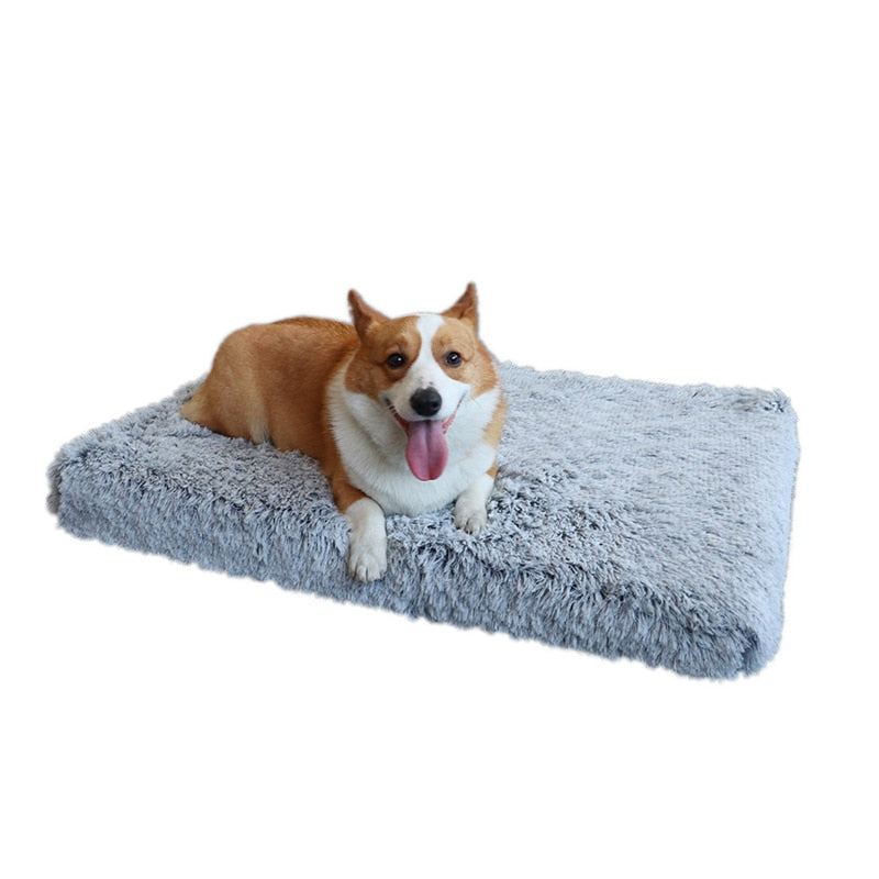 Plush Dog Bed Mat Cat Beds Removable for Cleaning Puppy Cushion Super Soft Claming Dog Beds Pet Bed for Small Medium Large Dogs